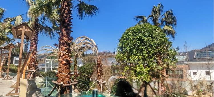 九股水温泉中心酒店图片