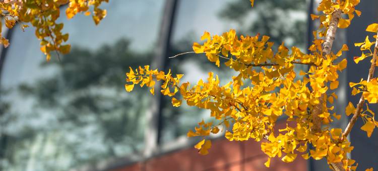 上海滴水湖洲际酒店图片