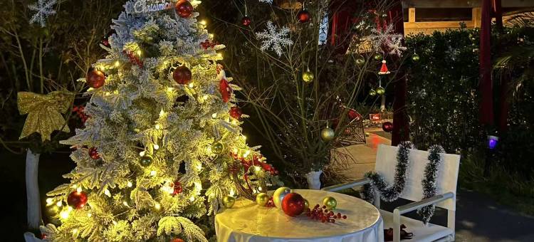 禄丰锶泉酒店图片