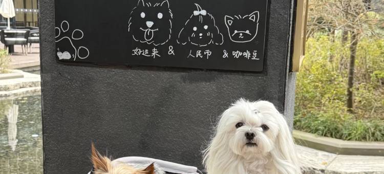 上海临港凯悦酒店图片