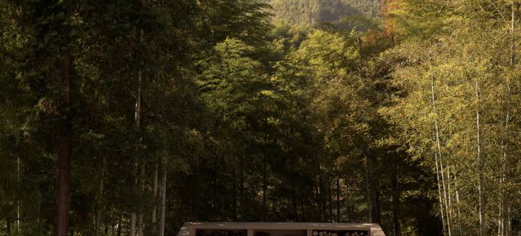 醒园·HYGEE HOUSE 山野美学民宿图片