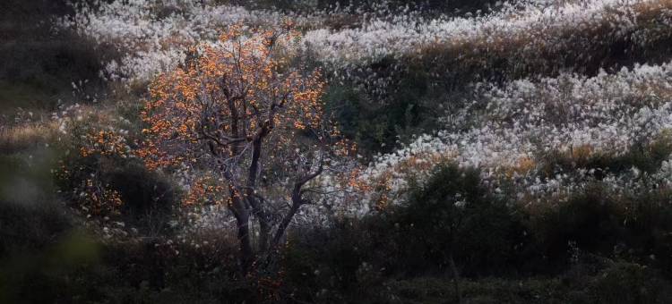 华美达安可酒店(潍坊临朐朐山路龙韵文化城店)图片