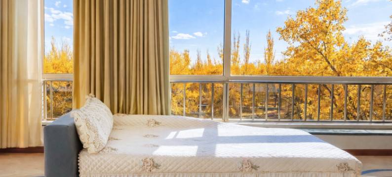 额济纳旗•俪雅｜金色胡杨林Relax星级度假酒店(额济纳旗胡杨林店)图片