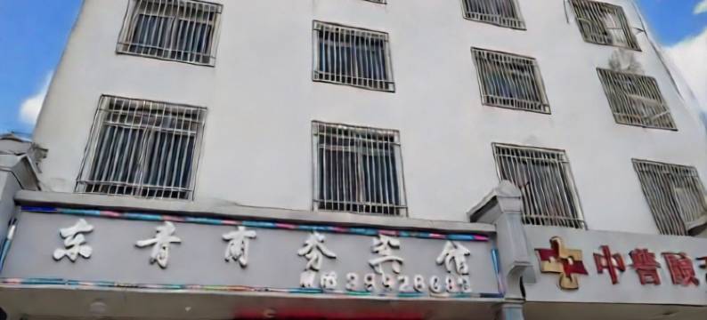 乐东东青商务宾馆(黄流镇店)图片