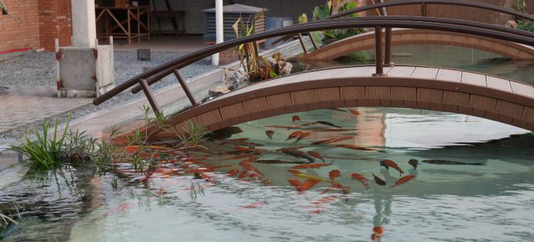 SlowHouse 蚝宅民宿(蟳埔村渔人码头店)图片