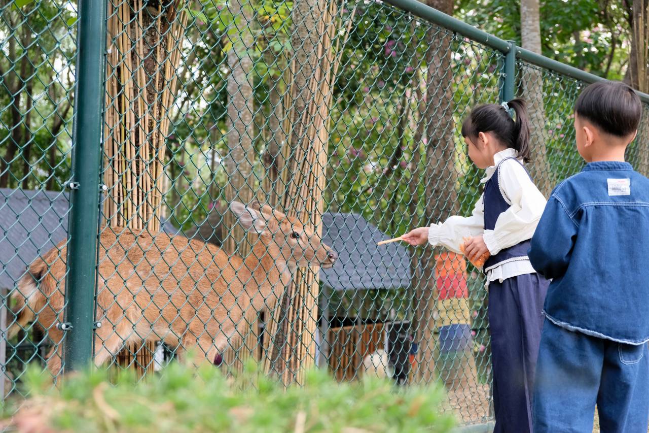 南宁五象山庄图片