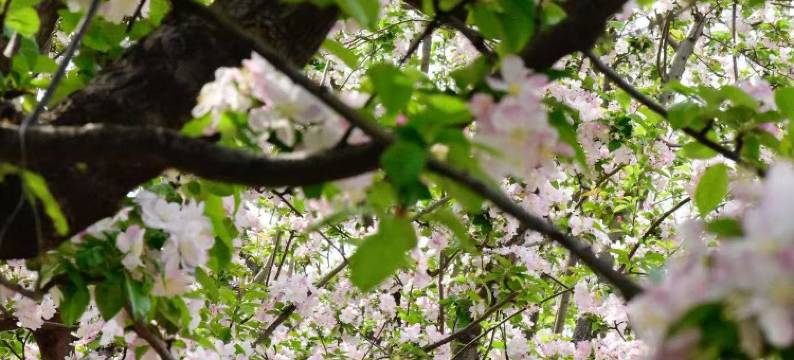 北京金隅喜来登大酒店图片