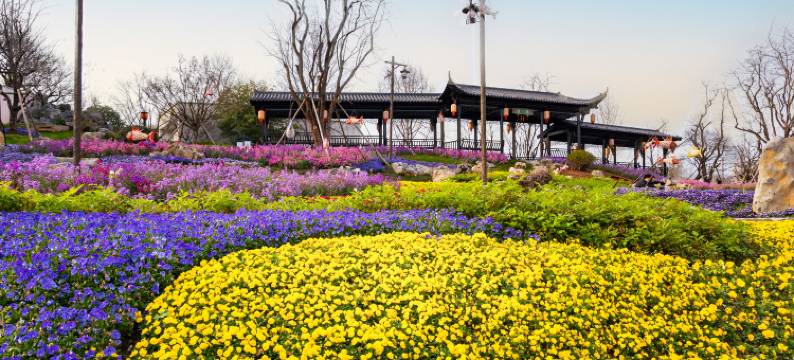 婺女洲度假区徽市街艺术酒店图片