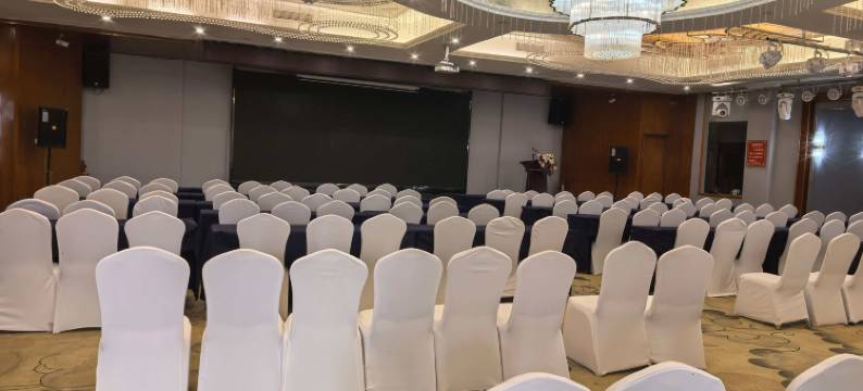 庐江福瑞临大酒店图片