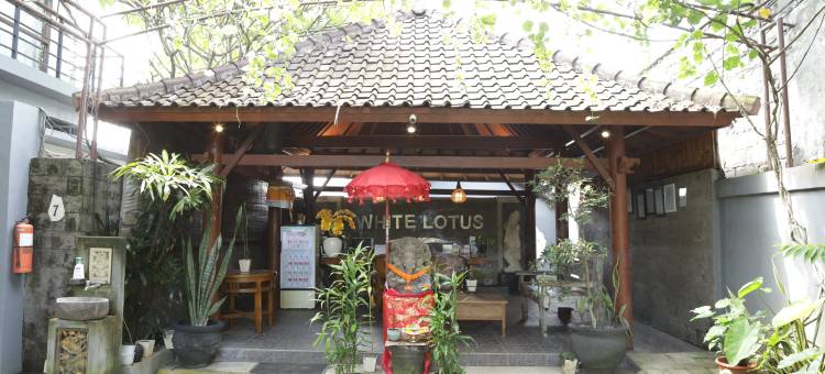 塞米亚克白莲花别墅(White Lotus Villas Seminyak)图片