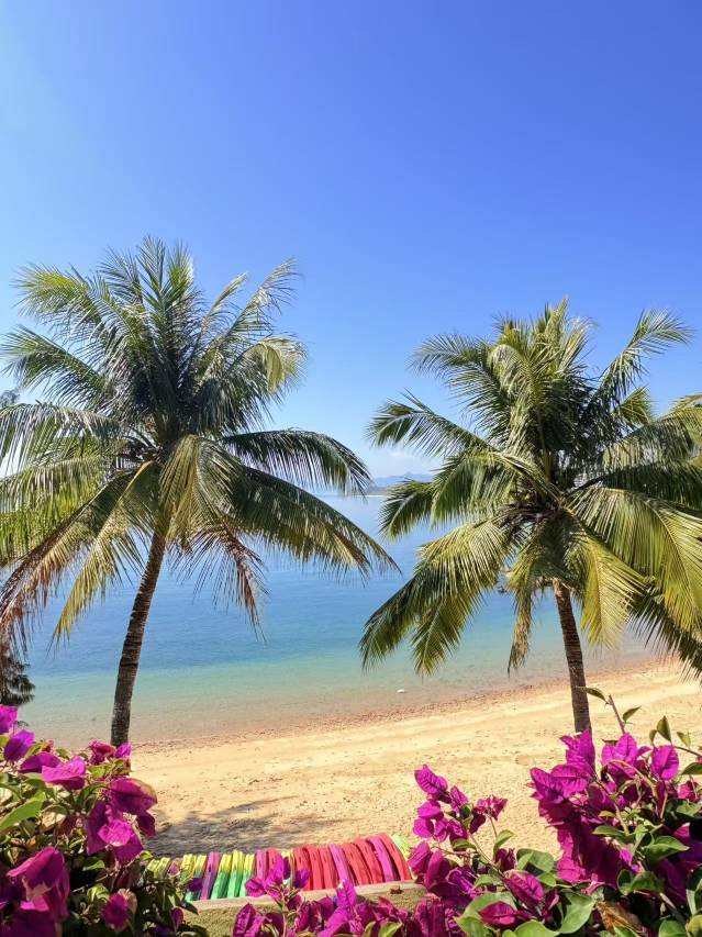 深圳五洲山海湾酒店图片