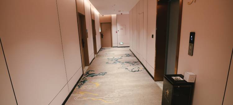 黄花国际酒店(政府广场店)图片