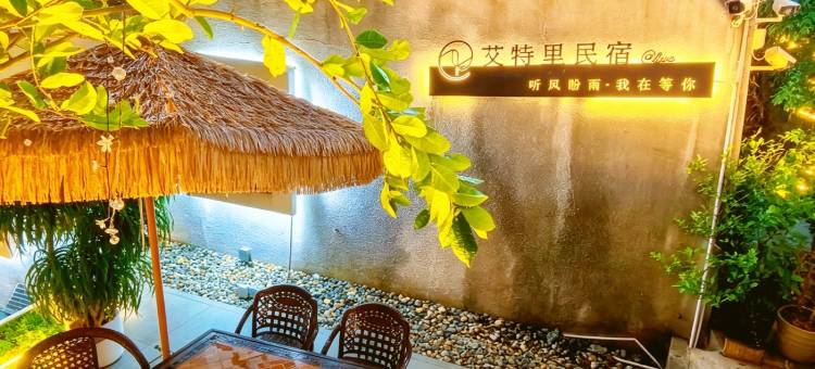 深圳艾特里民宿(桔钓沙杨梅坑店)图片