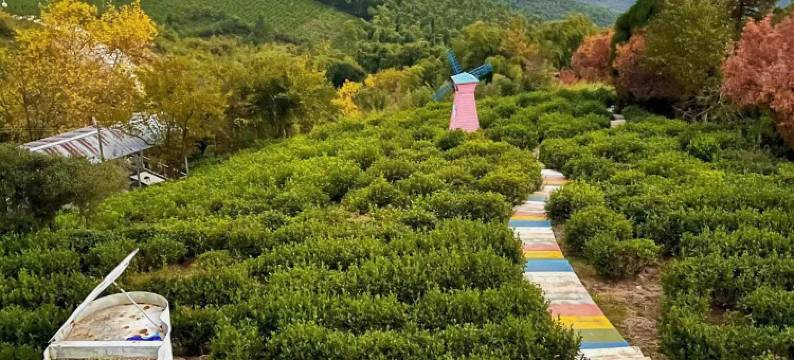 莫干山·栖山南苑度假屋图片