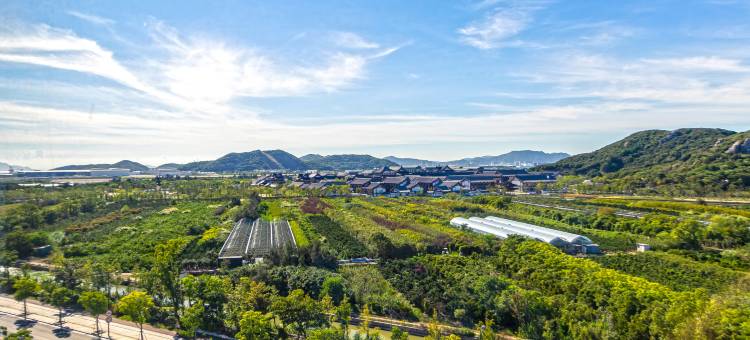 朱家尖瑞悦度假酒店(蜈蚣峙码头普陀山机场店)图片