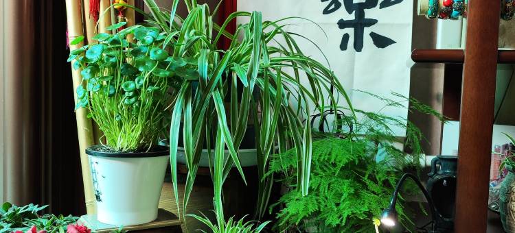 张掖豆芽青年旅舍(甘州夜市店)图片