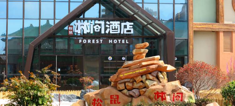 芜湖松鼠林间酒店(松鼠小镇店)图片