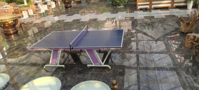 沁园春民宿图片