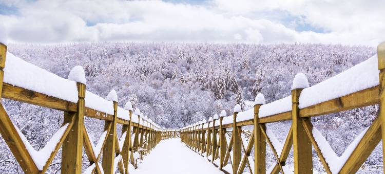 翠云山星辰谷公寓图片