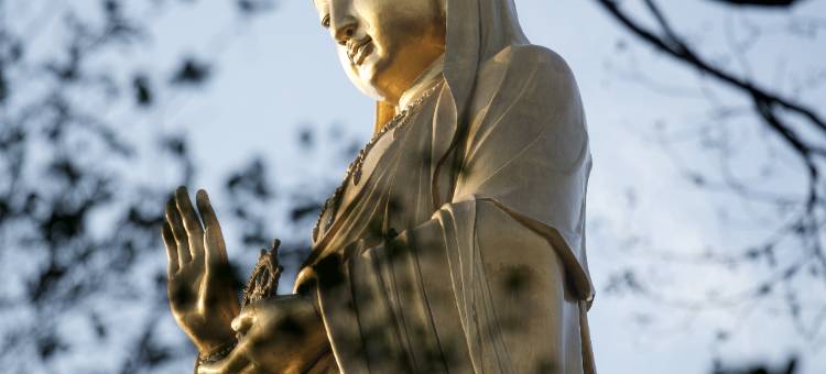 舟山保利郡雅开元森泊度假酒店图片