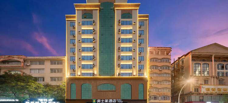 奥士莱酒店Osley Hotel(玉林市中心十字街店)图片