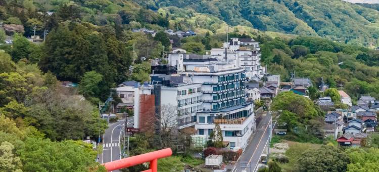 龟乃井酒店-筑波山(KAMENOI HOTEL TSUKUBASAN)图片