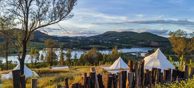 雨露蘑菇小屋图片