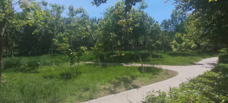 克拉玛依乌尔禾颐中小院图片