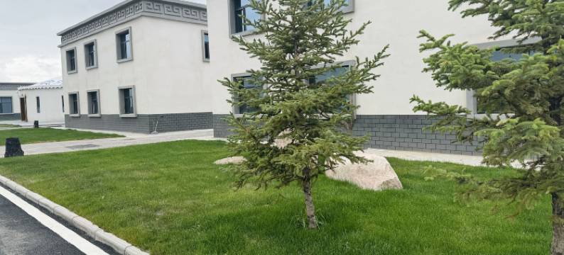 茶卡盐道酒店图片