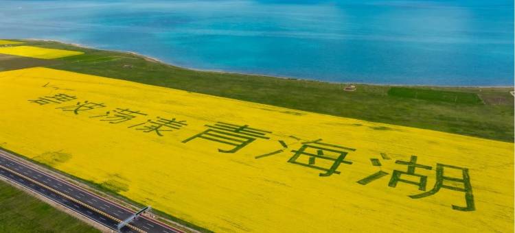 青海湖文巴客栈图片