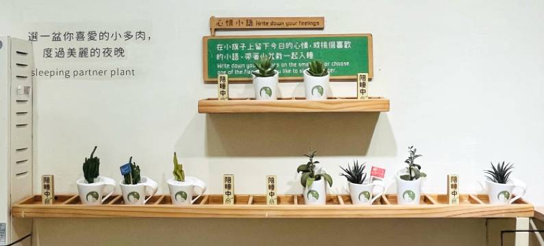 台中逢甲叶绿宿旅馆图片