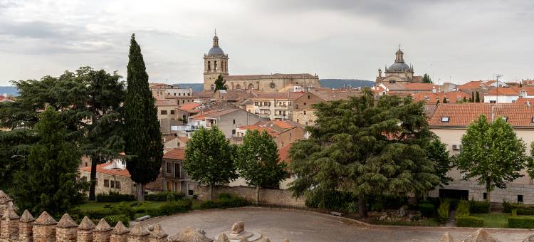 罗德里戈城市旅馆(Parador de Ciudad Rodrigo)图片