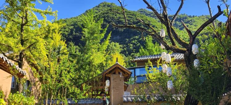 银杏·梦谷民宿图片