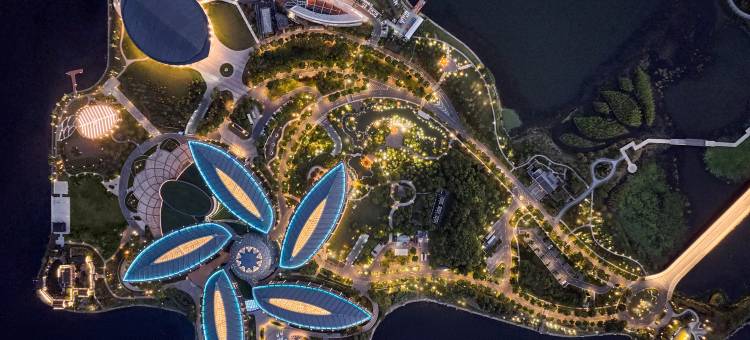 上海滴水湖洲际酒店图片