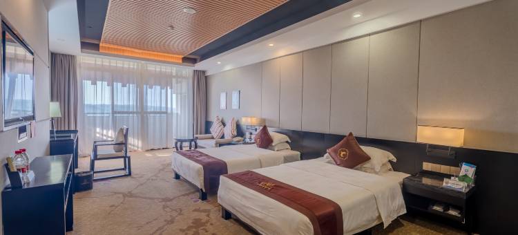 天成国际大酒店(百色田东湿地公园店)图片