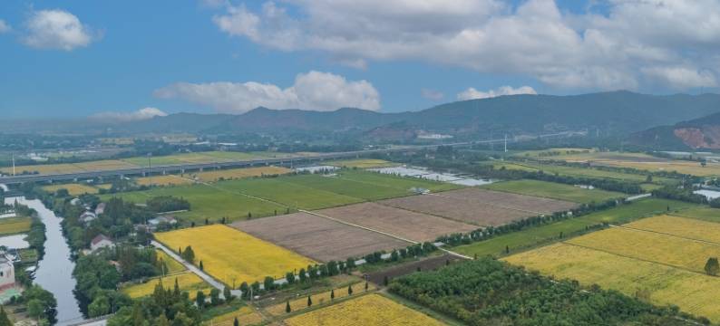 龙吟国际酒店(湖州埭溪店)图片