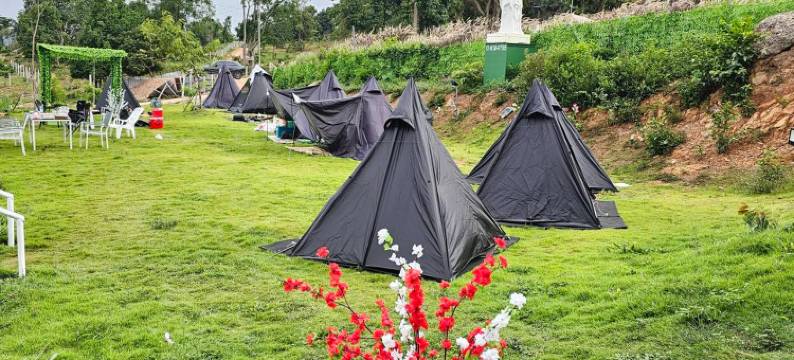 冰跟鞋(ICE HILL)图片