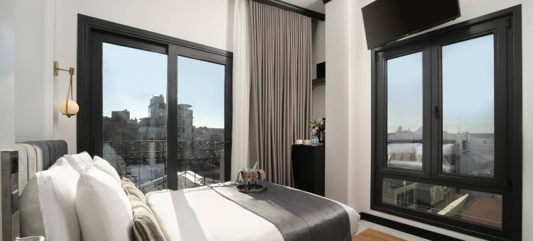 特里尼提霍特尔塔克西姆-斯佩舍尔卡特格里(The Trinity Hotel Taksim - Special Category)图片