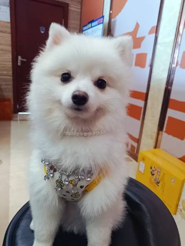 盛景怡家酒店(襄阳人民广场天元四季城店)图片