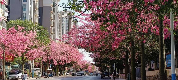 尚客优连锁酒店(柳州金福弟店)图片