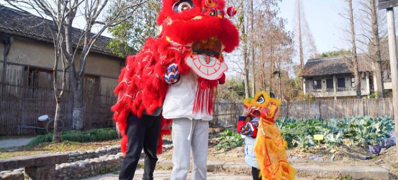 乌镇乌村稻舍乡村酒店图片