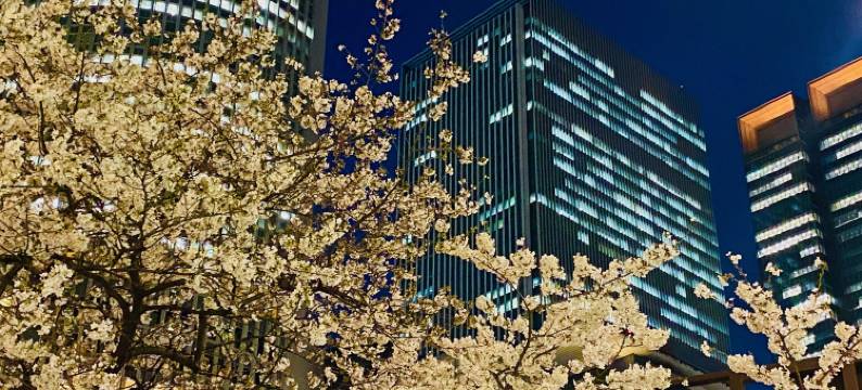 名古屋JR门楼酒店(JR东海酒店集团)(Nagoya JR Gate Tower Hotel (JR-Central Hotels))图片