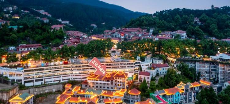 庐山闲庭主题酒店(庐山牯岭街心公园店)图片