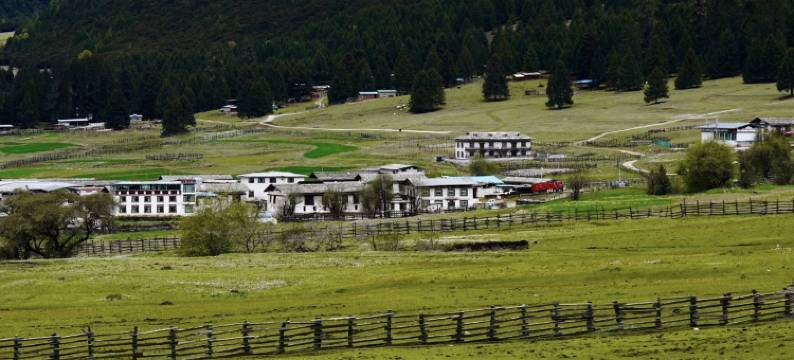 林芝·鲁朗丨Natural oxygen bar财鹿庄园(鲁朗国际旅游小镇店)图片