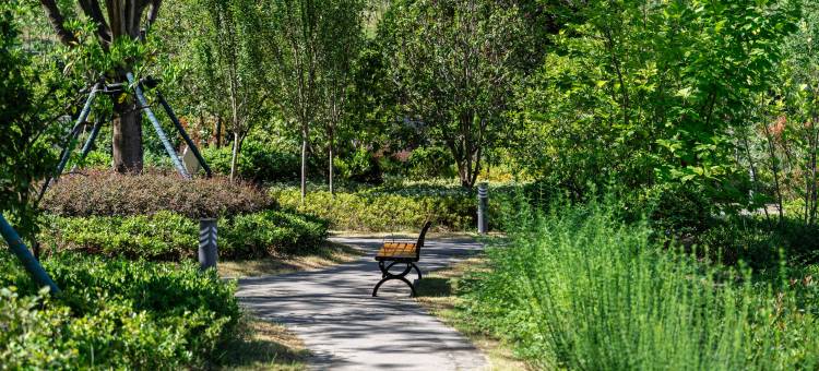 点军桃花岭饭店(宜昌一中店)图片