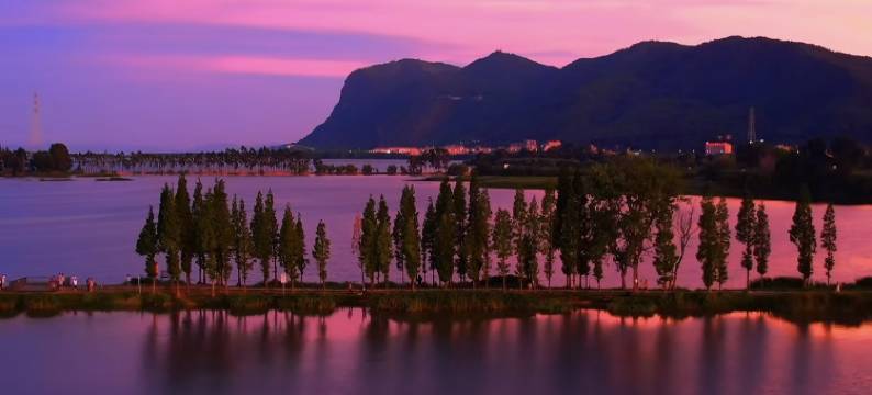 昆明鑫盛达宏晟国际酒店(斗南花市店)图片