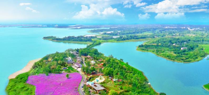 桐城嬉子·桐话民宿图片