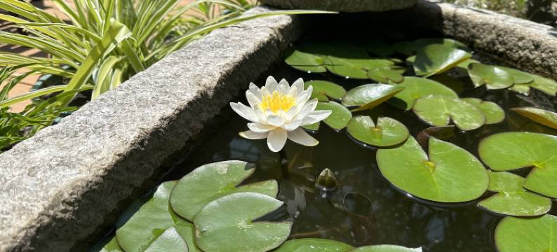 瓶兰居民宿图片