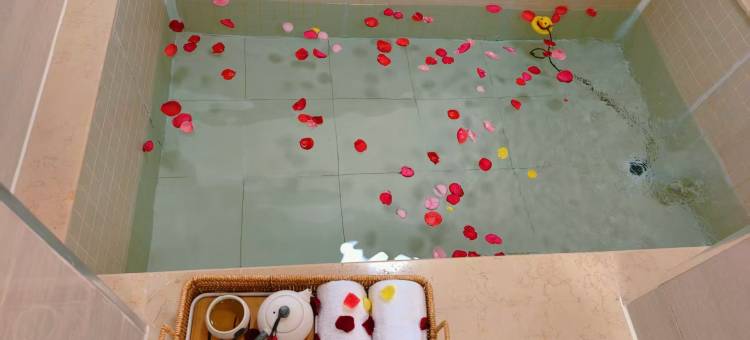 小鸟轻住温泉私汤别墅(牛驼孔雀城店)图片