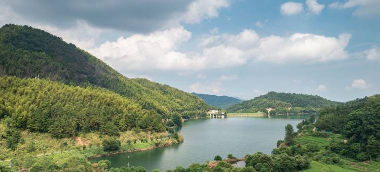 宜春旧雨新知轻奢民宿(明月山温泉度假村店)图片
